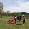 Prientenii pompirilor, Baia de AramÄƒ, 2017