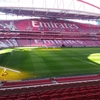 Stadionul Benfica Lisabona #1