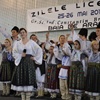 Zilele liceului 2011